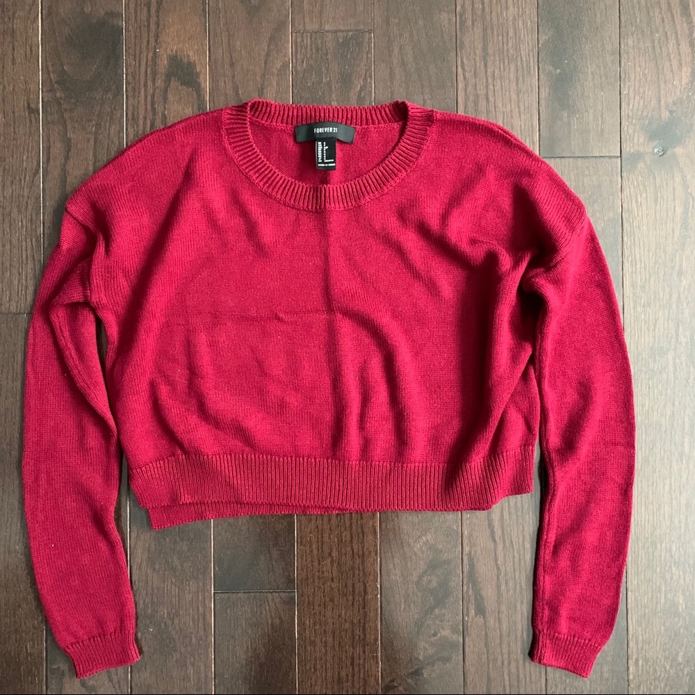 Forever 21 Cropped Sweater